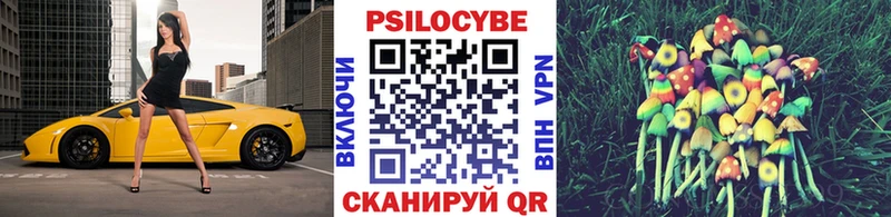 Галлюциногенные грибы Psilocybine cubensis  hydra как зайти  Тюкалинск 